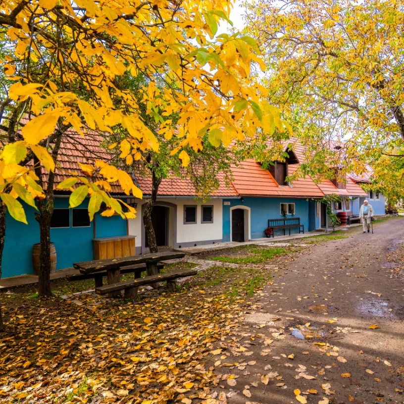 Jesenná ulička vínnych pivníc na Starej Hore v Sebechleboch