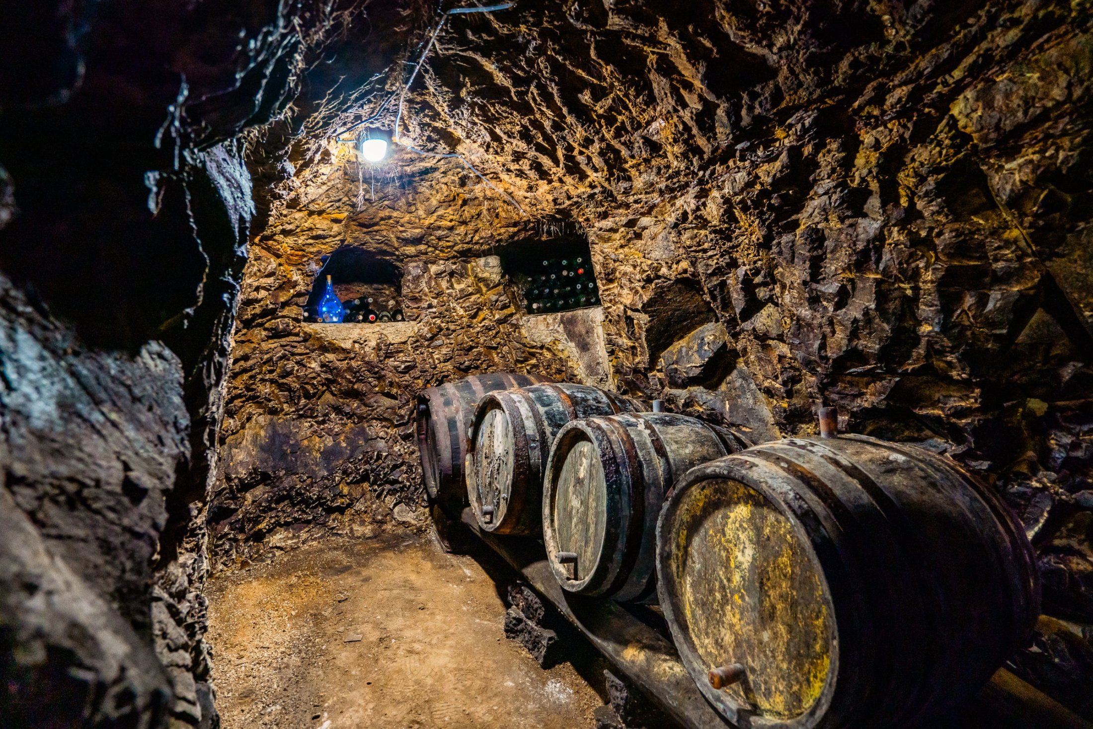 Budúcnosť vinárstva: Technológie a inovácie